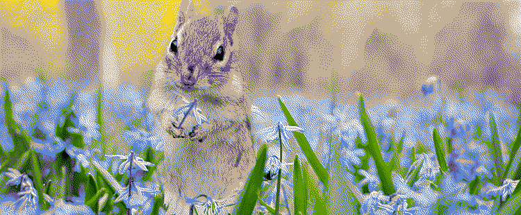 A dithered photo of a squirrel sitting in a mix of tall grass and blue squill flowers.